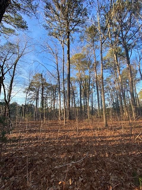 1.19 Acres of Land for Sale in Parksley, Virginia