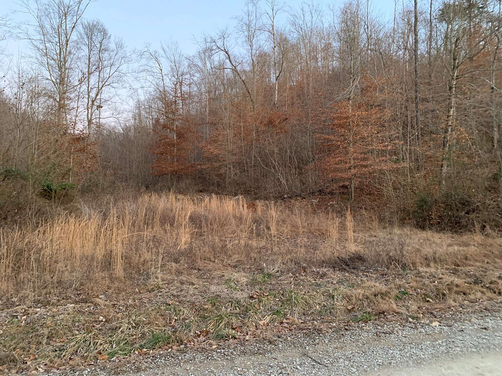 75.2 Acres of Land for Sale in Liberty, Kentucky