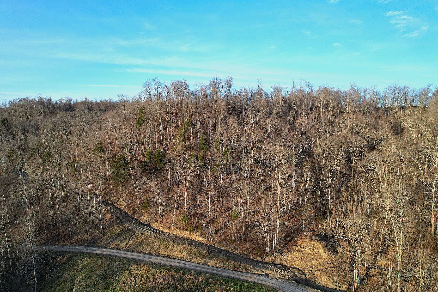 75.2 Acres of Land for Sale in Liberty, Kentucky