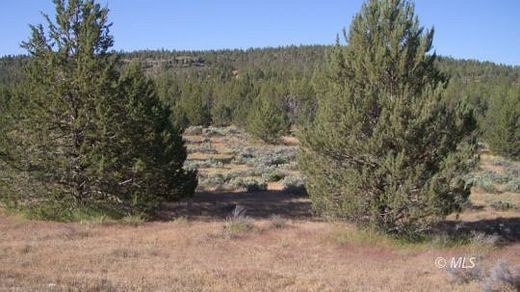 1.5 Acres of Residential Land for Sale in Alturas, California