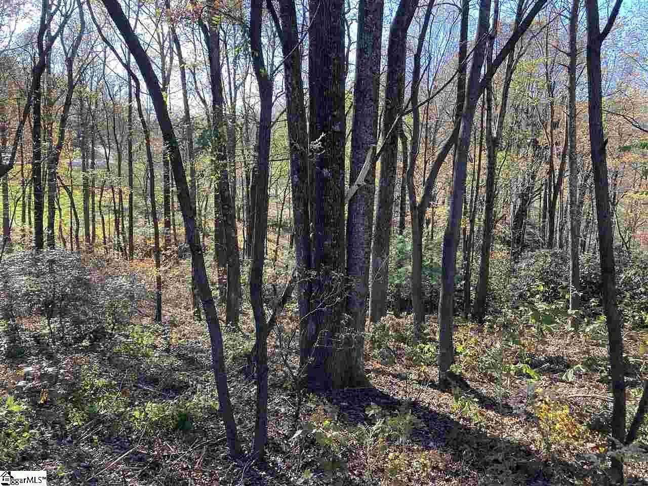 0.77 Acres of Residential Land for Sale in Landrum, South Carolina
