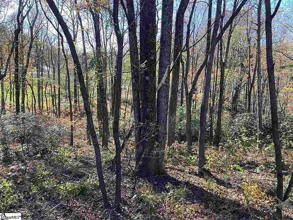 0.77 Acres of Residential Land for Sale in Landrum, South Carolina