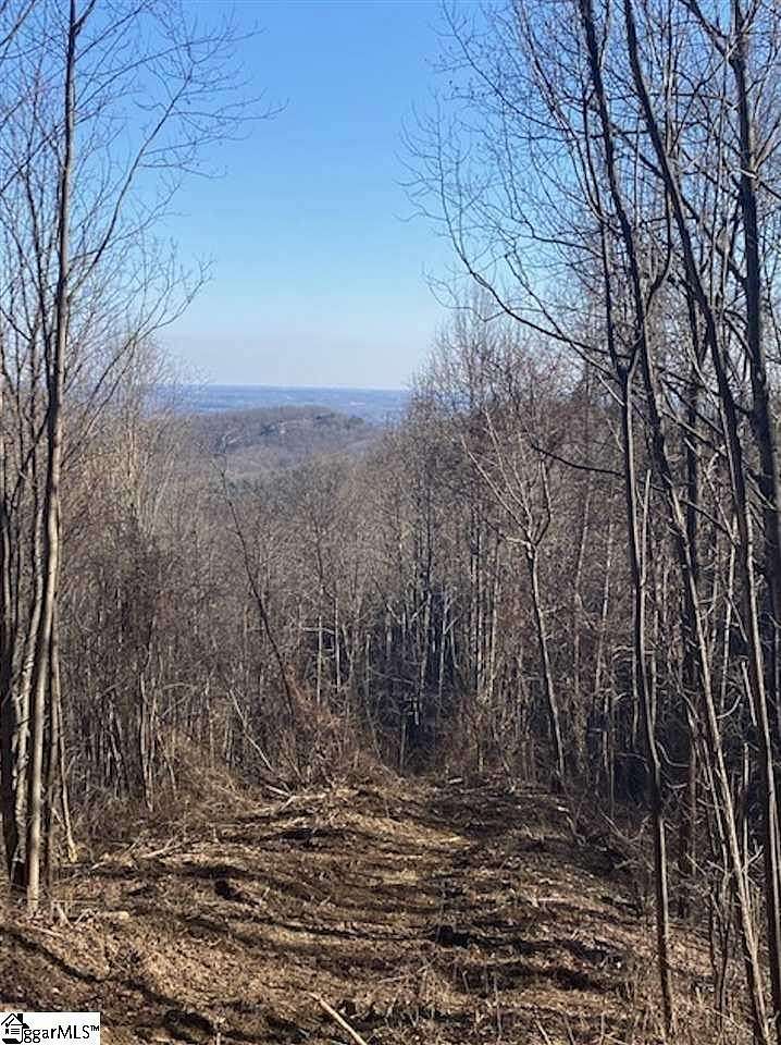 12.2 Acres of Land for Sale in Landrum, South Carolina