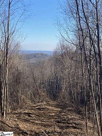 12.2 Acres of Land for Sale in Landrum, South Carolina
