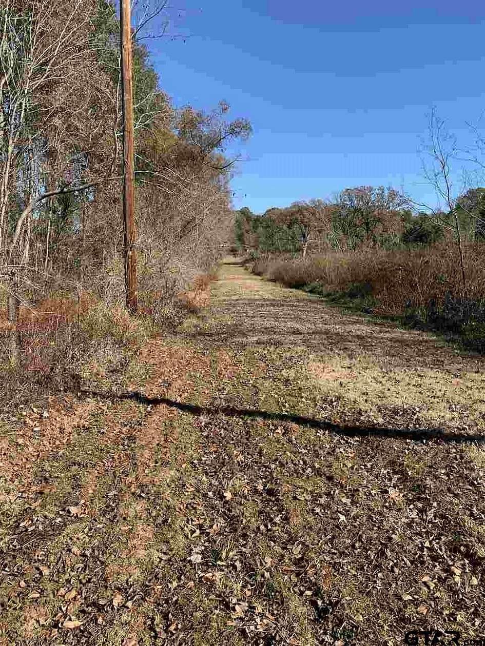 23 Acres of Recreational Land for Sale in Lindale, Texas