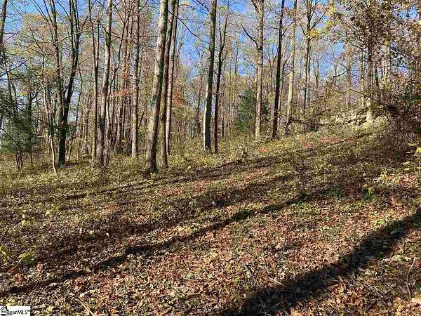 0.99 Acres of Residential Land for Sale in Landrum, South Carolina