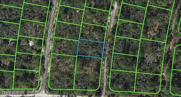 0.23 Acres of Residential Land for Sale in Lake Placid, Florida