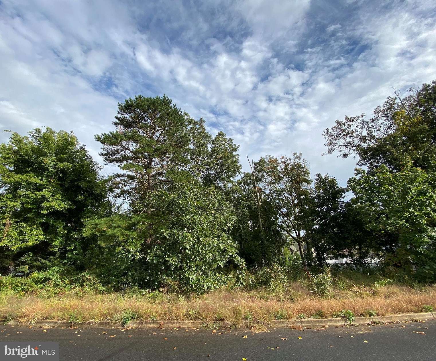 0.4 Acres of Residential Land for Sale in Hammonton, New Jersey