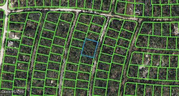 0.46 Acres of Residential Land for Sale in Lake Placid, Florida