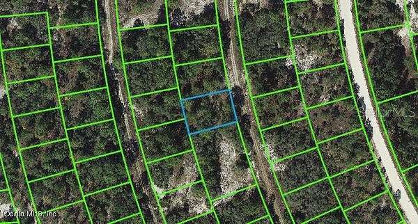 0.25 Acres of Residential Land for Sale in Lake Placid, Florida