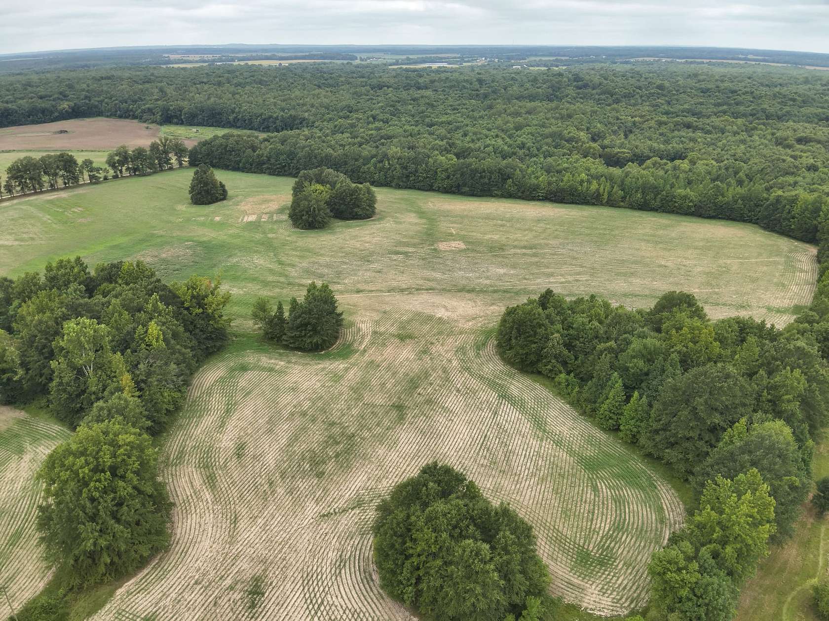 212 Acres of Recreational Land & Farm for Sale in Okolona, Mississippi
