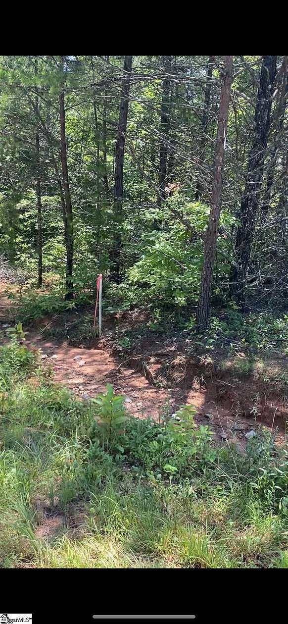 1.3 Acres of Residential Land for Sale in Marietta, South Carolina