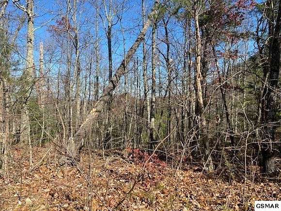 0.26 Acres of Residential Land for Sale in Sevierville, Tennessee