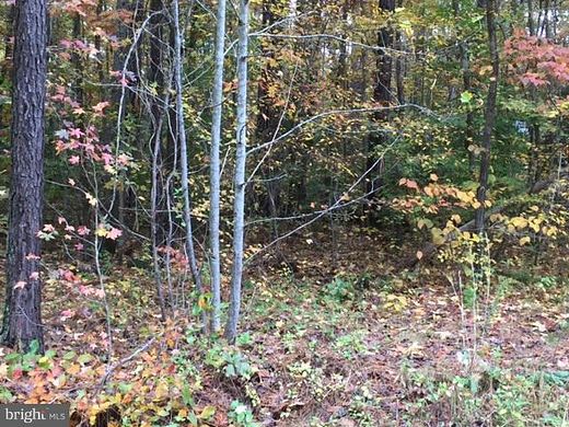 0.76 Acres of Residential Land for Sale in Ruther Glen, Virginia