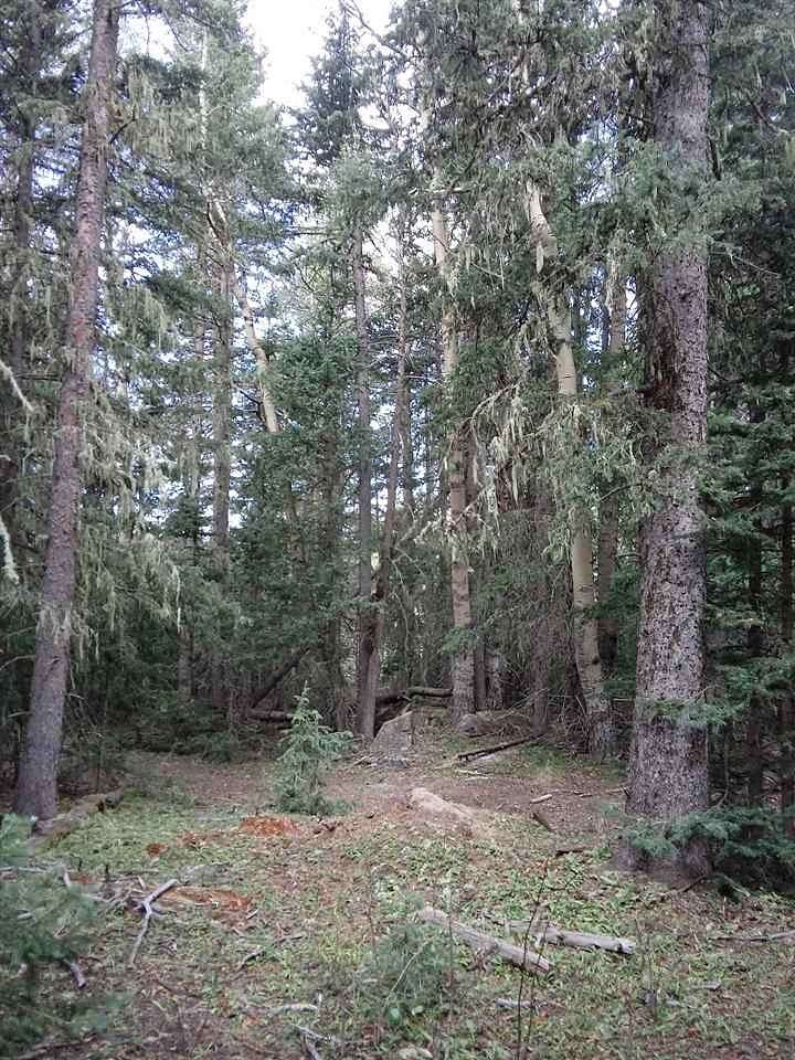 0.84 Acres of Land for Sale in Angel Fire, New Mexico