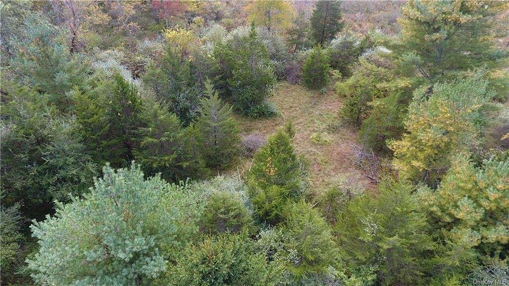 1.2 Acres of Residential Land for Sale in Mamakating Town, New York