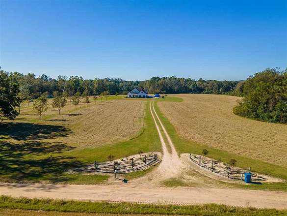 41 Acres of Land for Sale in Reidsville, Georgia