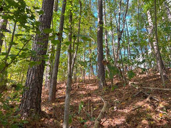 54 Acres of Land for Sale in Trussville, Alabama