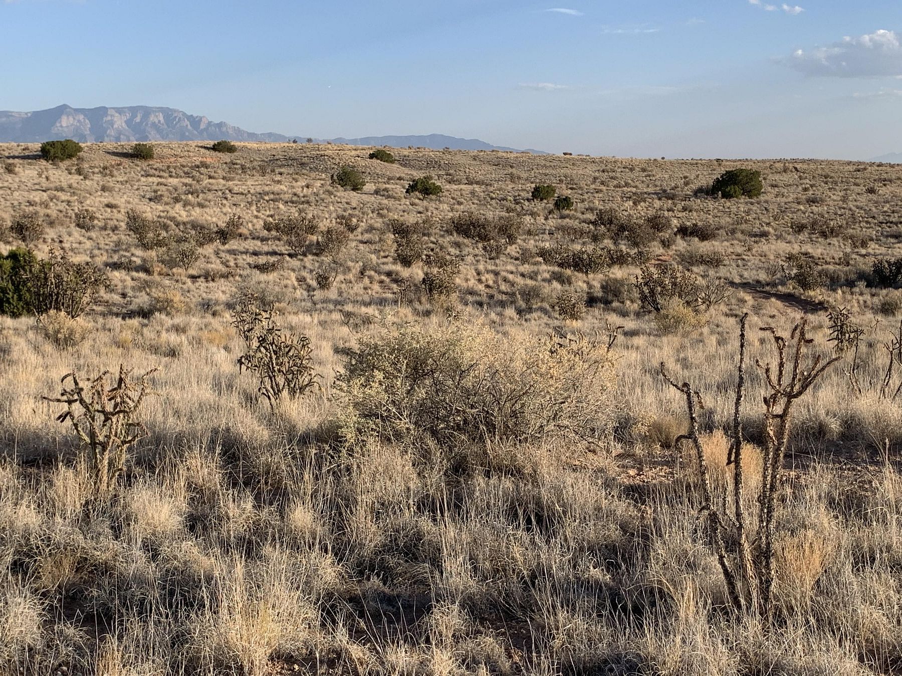 0.55 Acres of Land for Sale in Rio Rancho, New Mexico