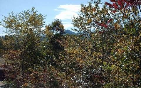 0.53 Acres of Residential Land for Sale in Hiawassee, Georgia