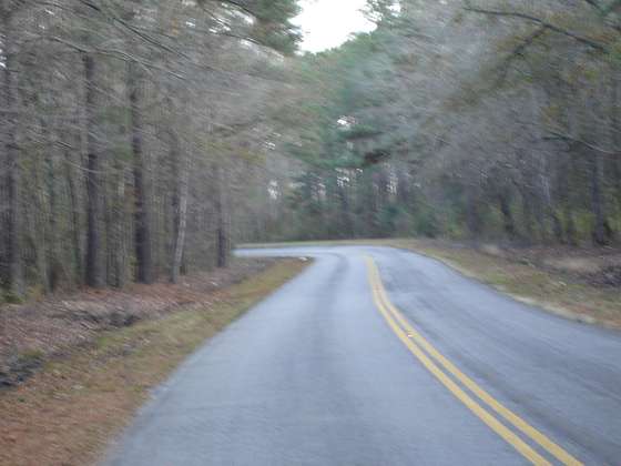 16 Acres of Land for Sale in Adams Run, South Carolina