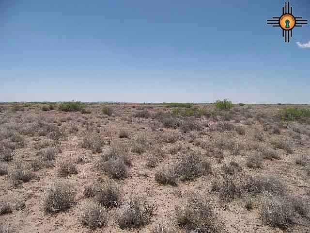 40 Acres of Land for Sale in Columbus, New Mexico