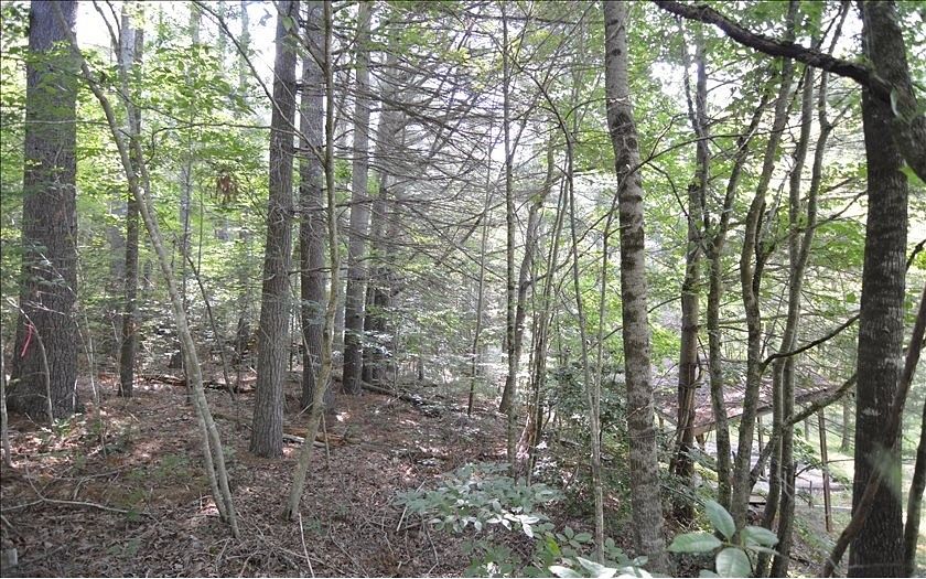3.2 Acres of Land for Sale in Hiawassee, Georgia