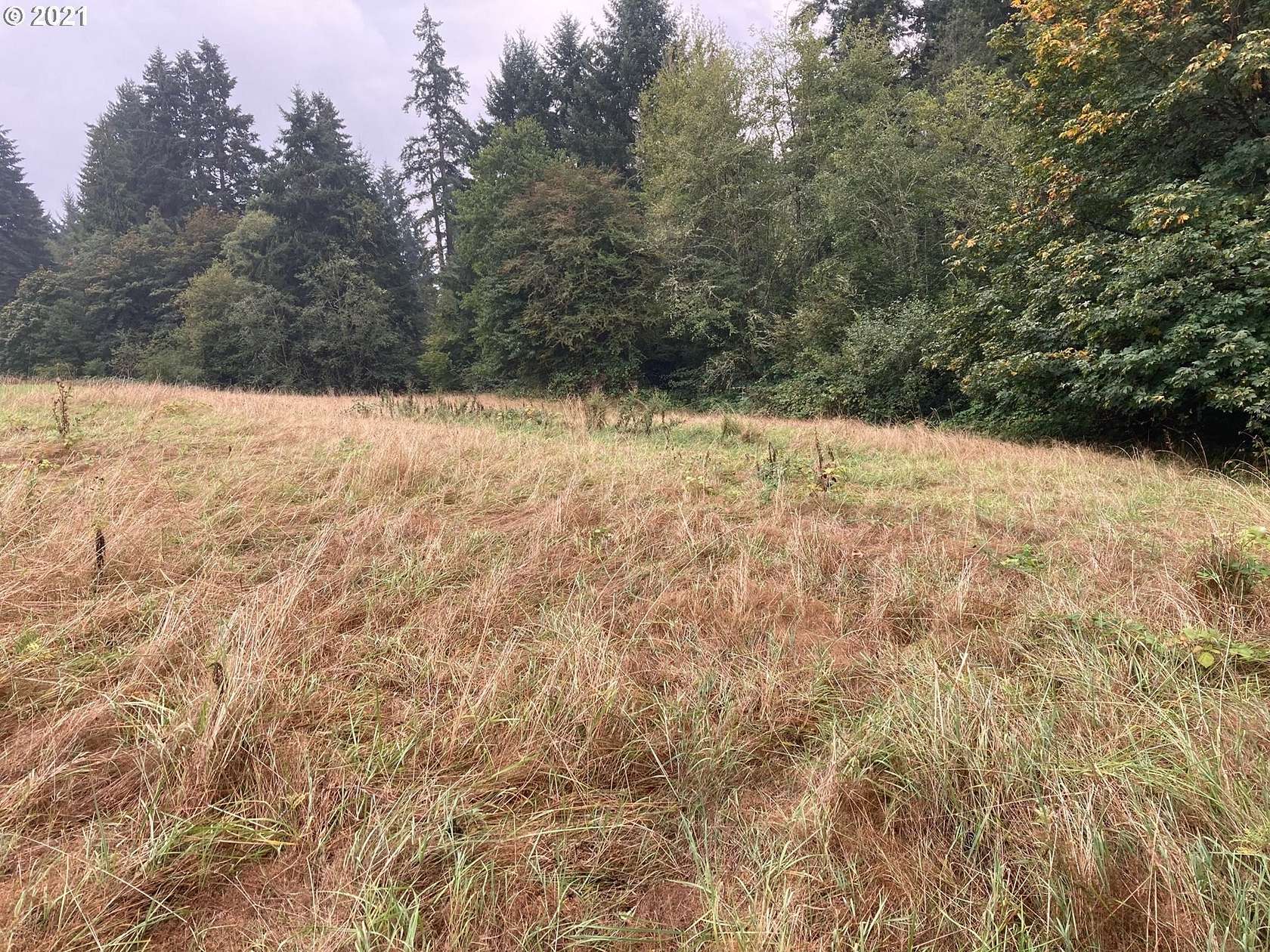 2.42 Acres of Residential Land for Sale in Ridgefield, Washington
