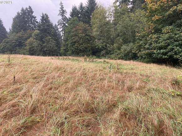2.4 Acres of Residential Land for Sale in Ridgefield, Washington