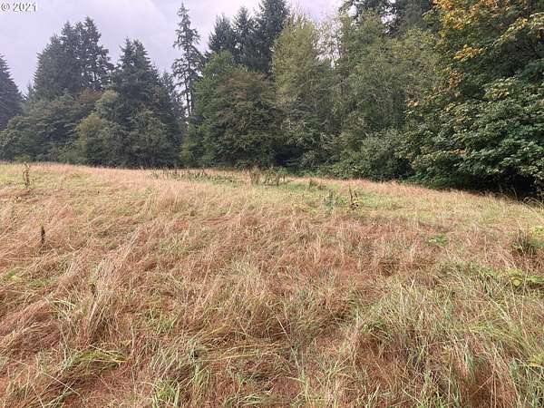 2.42 Acres of Residential Land for Sale in Ridgefield, Washington