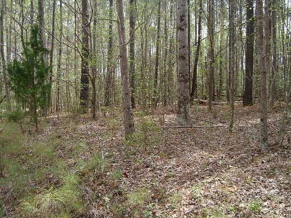 0.56 Acres of Residential Land for Sale in Macon, North Carolina
