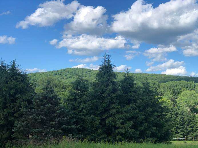 12.6 Acres of Land for Sale in Fly Creek, New York