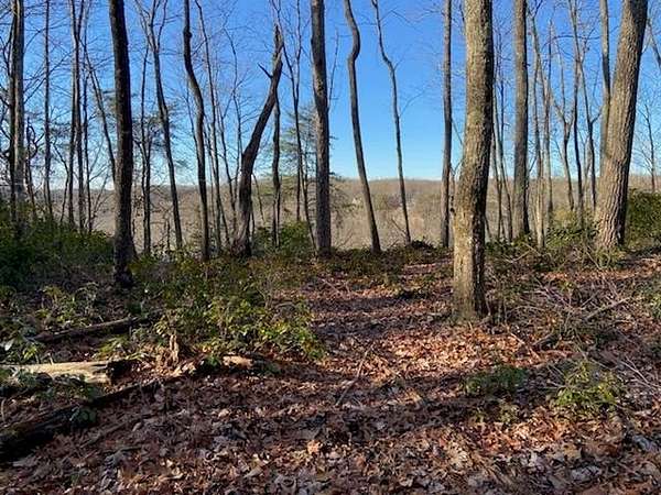 4 Acres of Land for Sale in Monterey, Tennessee