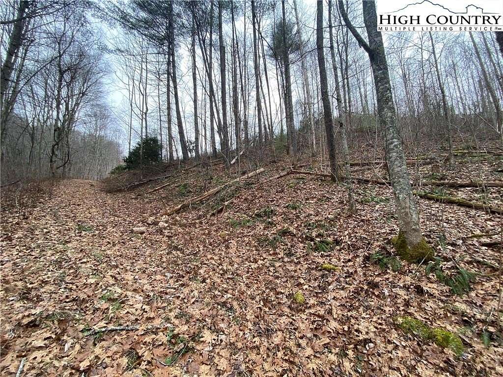 0.7 Acres of Residential Land for Sale in Vilas, North Carolina