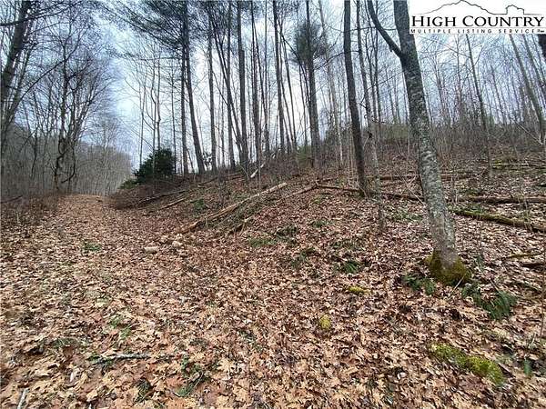0.7 Acres of Residential Land for Sale in Vilas, North Carolina
