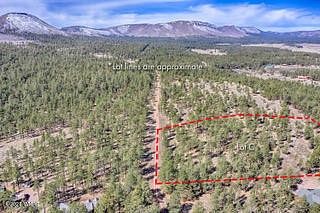 6 Acres of Residential Land for Sale in Alpine, Arizona