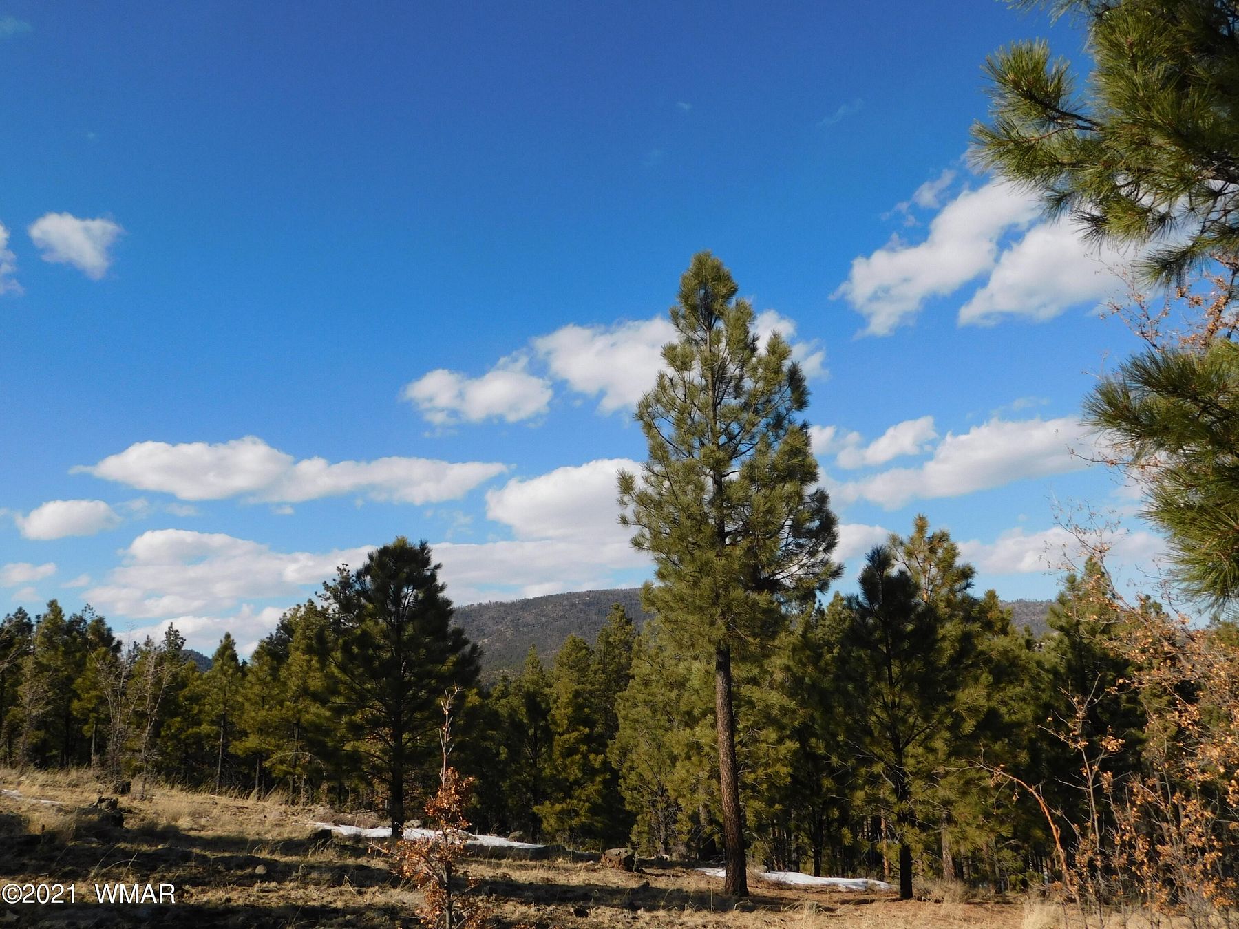 6 Acres of Residential Land for Sale in Alpine, Arizona