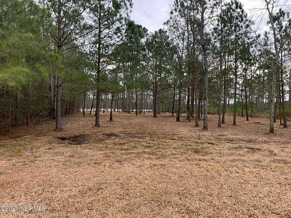 1.4 Acres of Residential Land for Sale in Belhaven, North Carolina