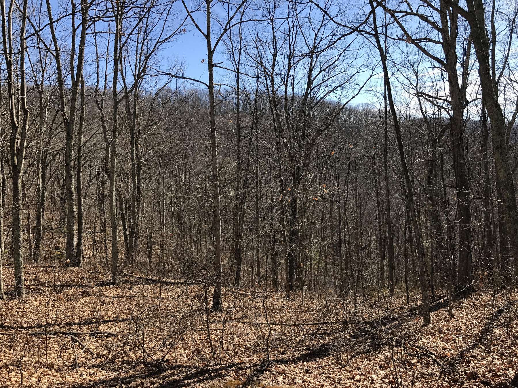2 Acres of Residential Land for Sale in Caldwell, West Virginia