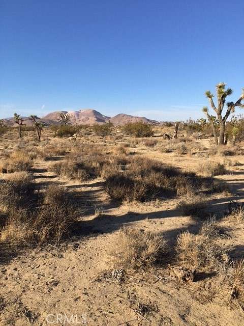 1.3 Acres of Land for Sale in Rosamond, California