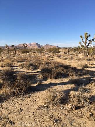 1.25 Acres of Land for Sale in Rosamond, California