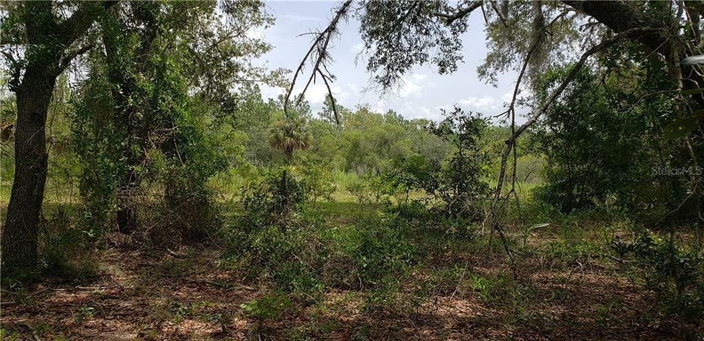 0.48 Acres of Land for Sale in Williston, Florida