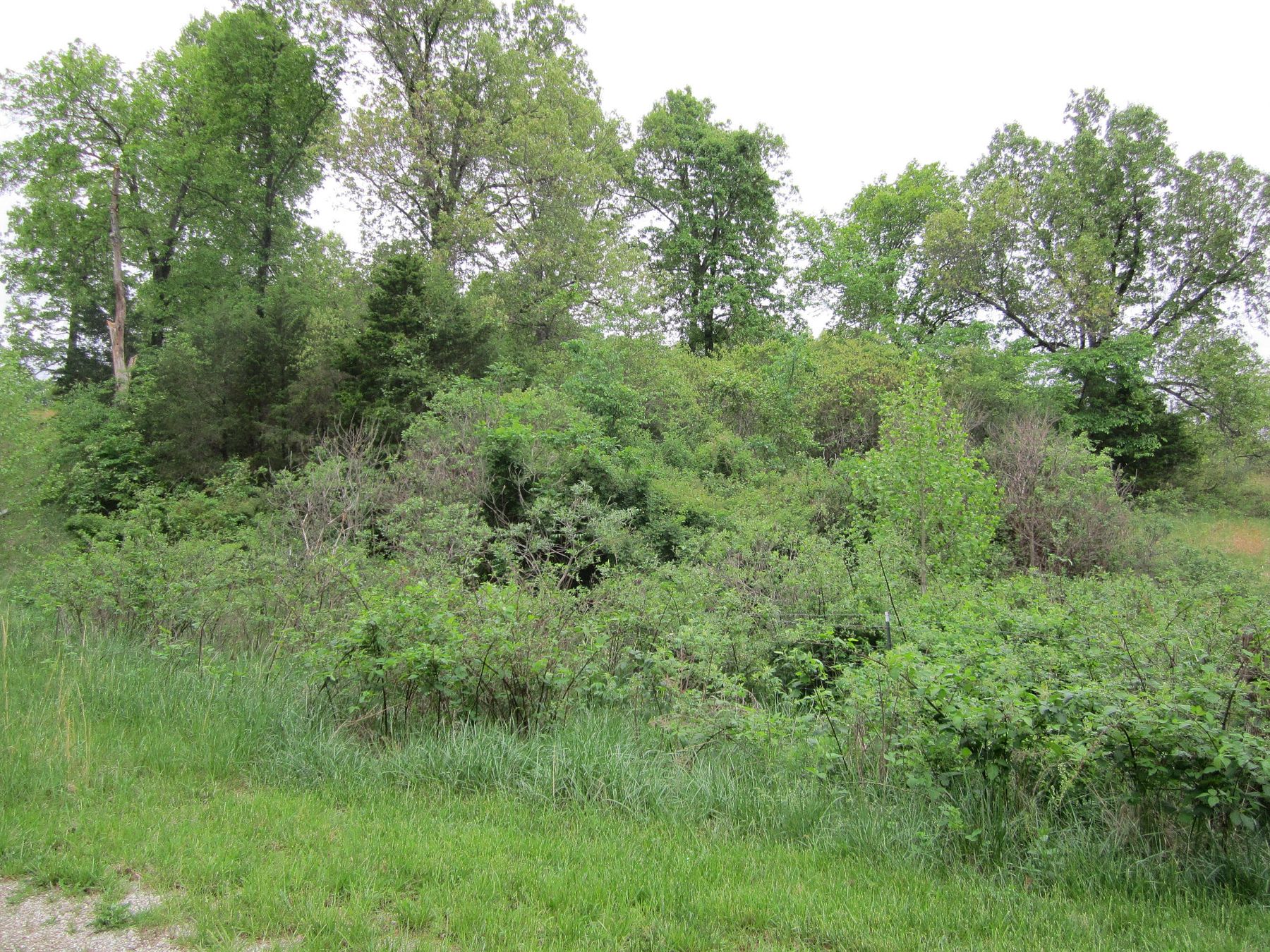 0.4 Acres of Residential Land for Sale in Forsyth, Missouri