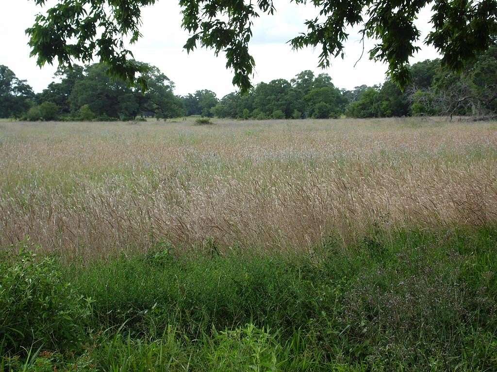 2.3 Acres of Residential Land for Sale in Cedar Lane, Texas