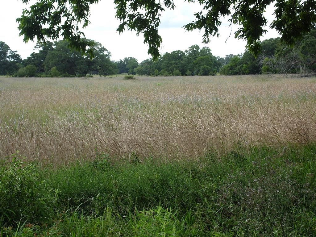2.3 Acres of Mixed-Use Land for Sale in Cedar Lane, Texas
