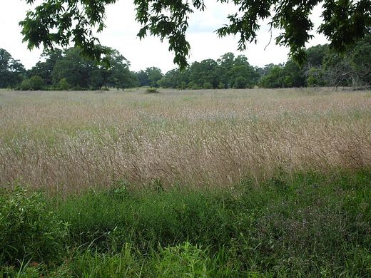 2.31 Acres of Residential Land for Sale in Cedar Lane, Texas