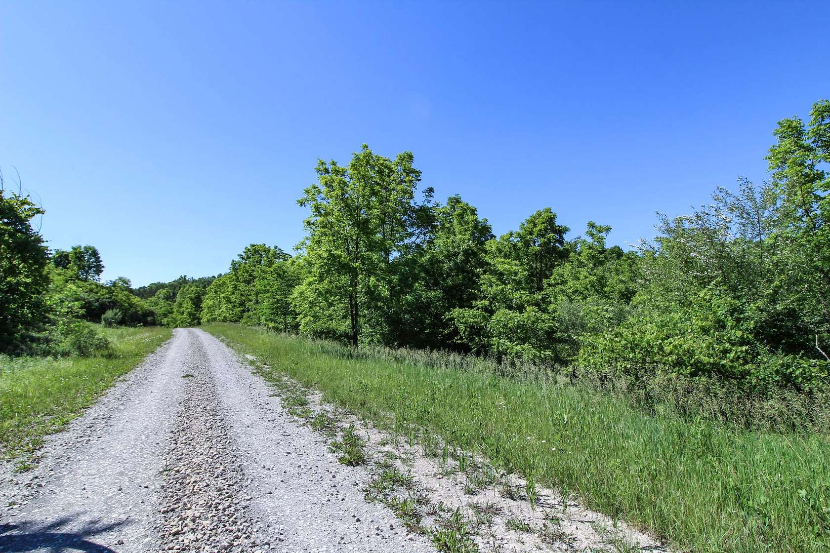 46.912 Acres of Recreational Land for Sale in Cantril, Iowa