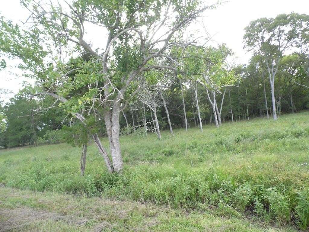 2.46 Acres of Residential Land for Sale in Cedar Lane, Texas