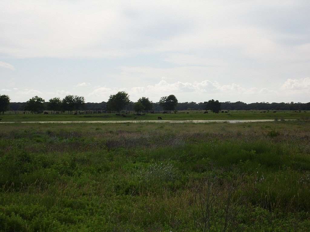 2.44 Acres of Residential Land for Sale in Cedar Lane, Texas