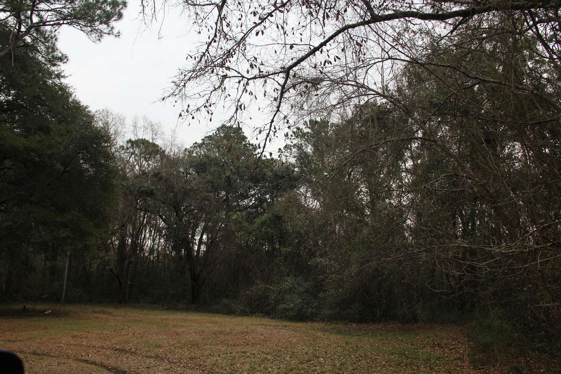 10 Acres of Land for Sale in Mount Pleasant, South Carolina